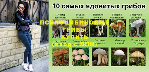 ALPHA PVP Беломорск